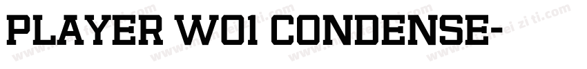Player W01 Condense字体转换